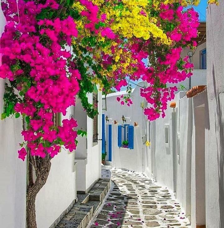 Melina'S House Mykonos Town Apartment Exterior photo